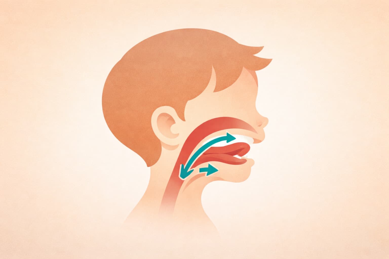 Dysfonctions Oro-Myo-Faciales (OMF) chez l&rsquo;enfant